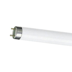 Tube Light (2')  "Phillips"